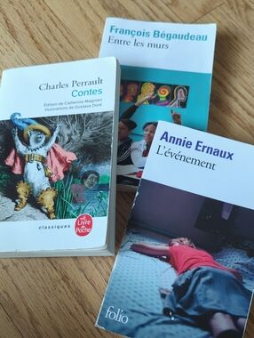 3 French Books